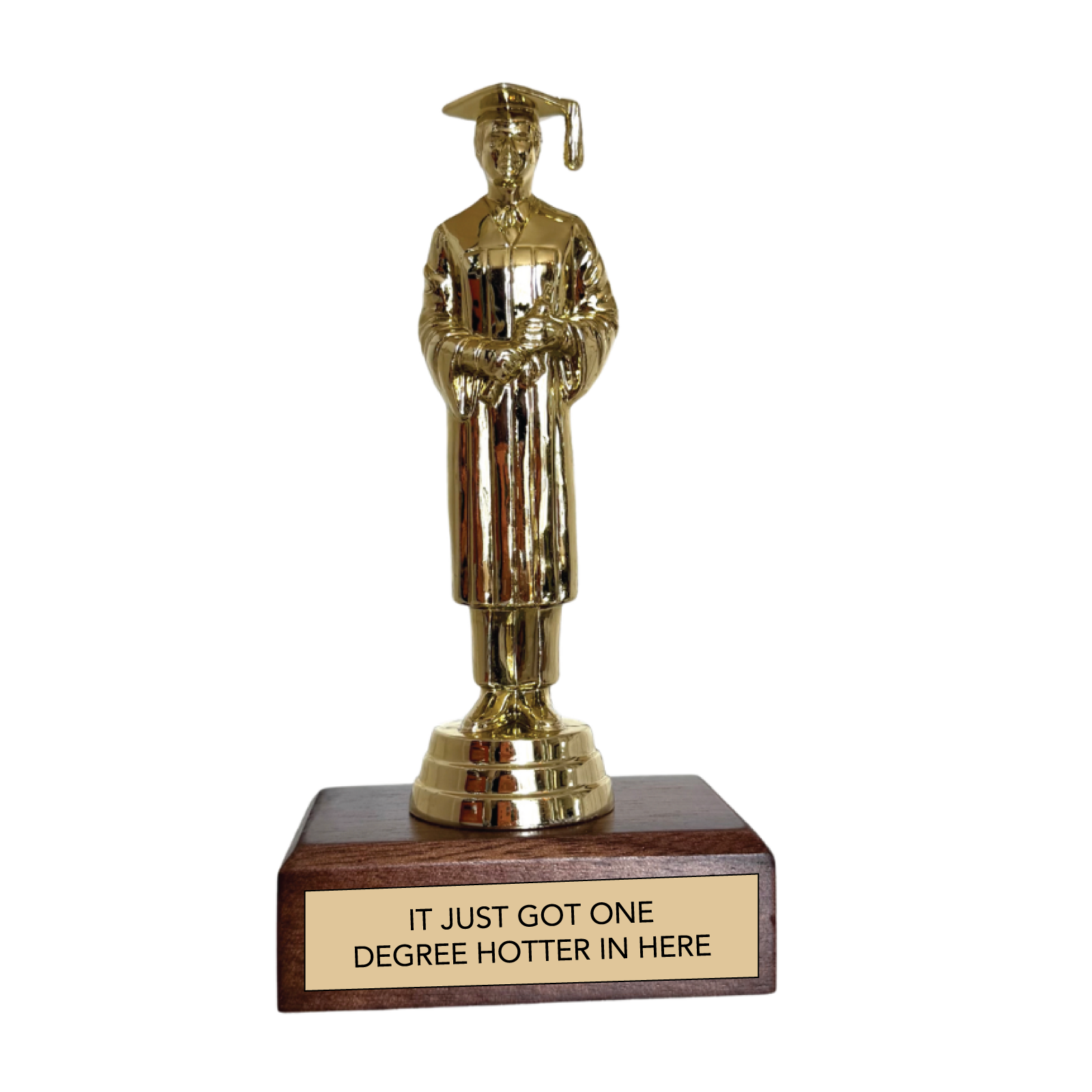 IT JUST GOT ONE DEGREE HOTTER IN HERE trophy