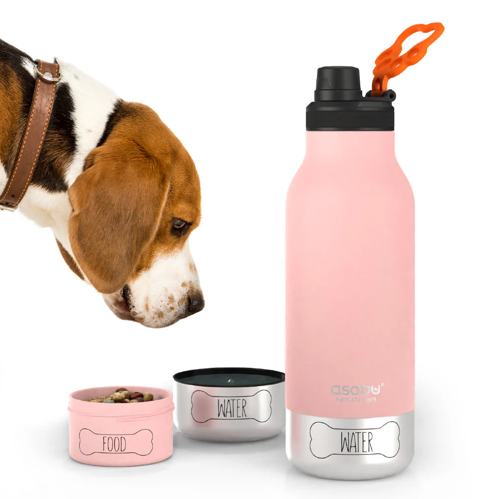 3-in-1 Buddy Water Bottle (more colors)