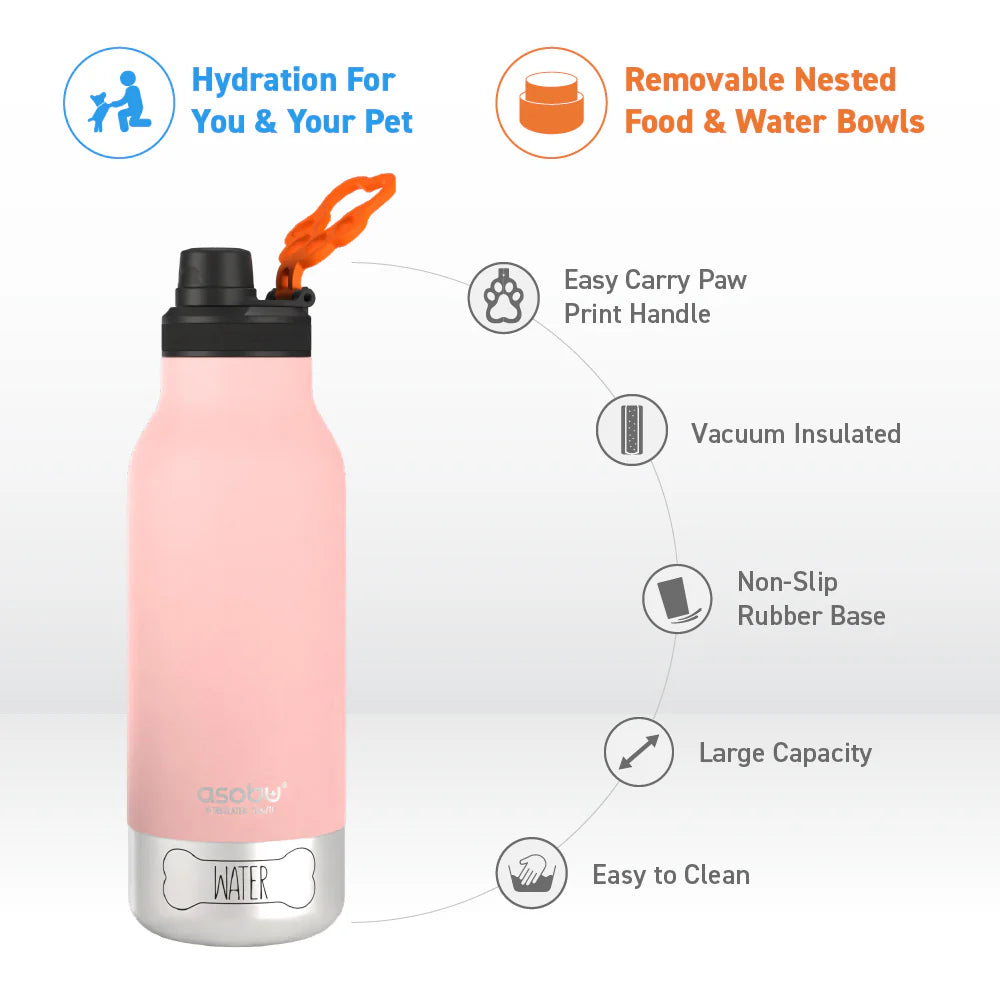 3-in-1 Buddy Water Bottle (more colors)