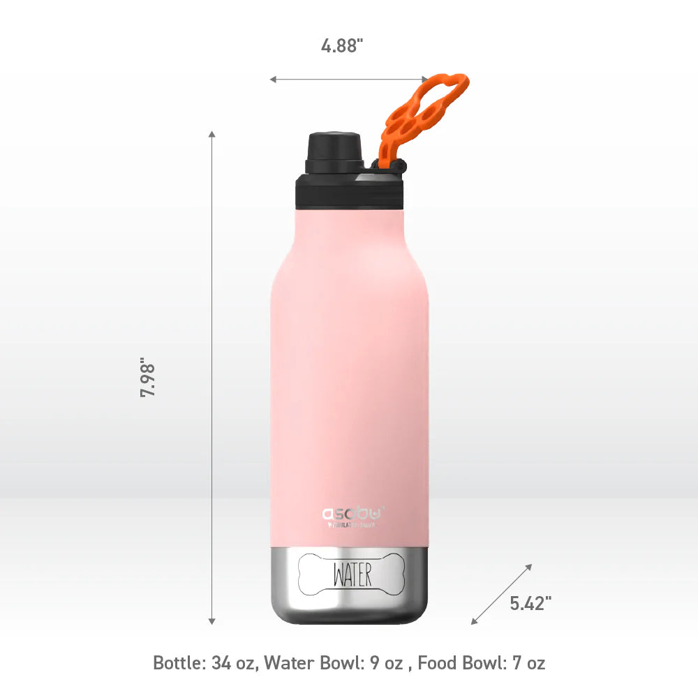 3-in-1 Buddy Water Bottle (more colors)