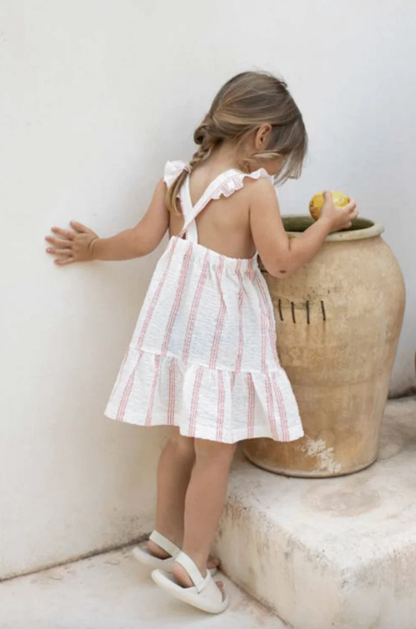 Striped Joncols Dress | Blush