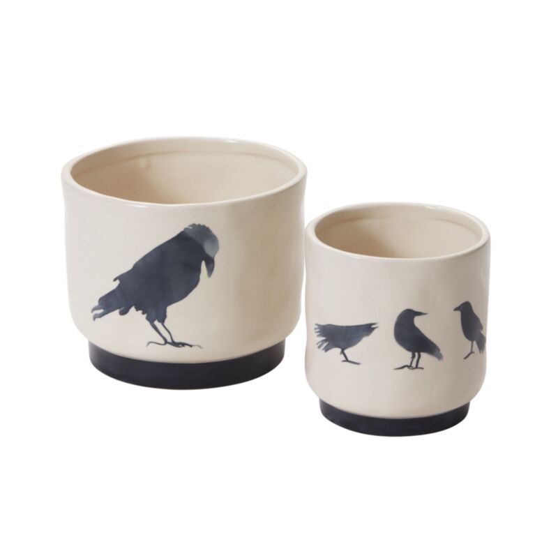 CORVUS POT