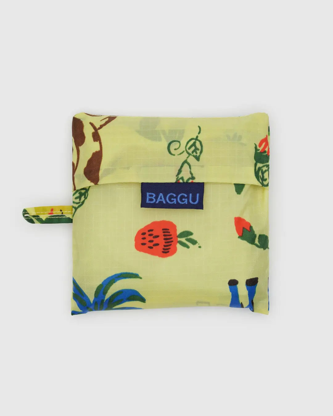 Standard Baggu Archive Print