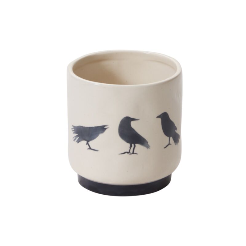 CORVUS POT