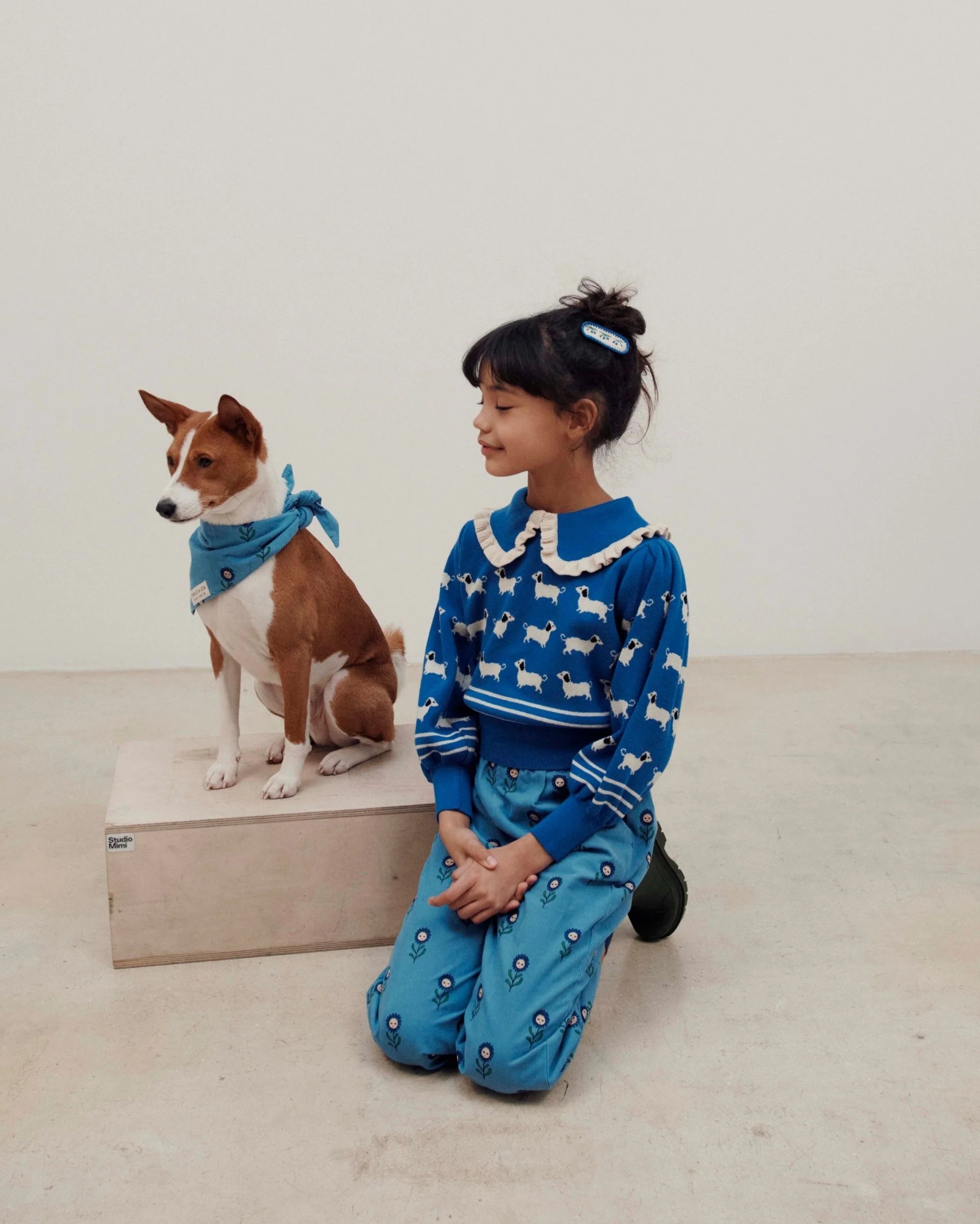 JACQUARD DOGS SWEATER ORGANIC COTTON ROYAL BLUE