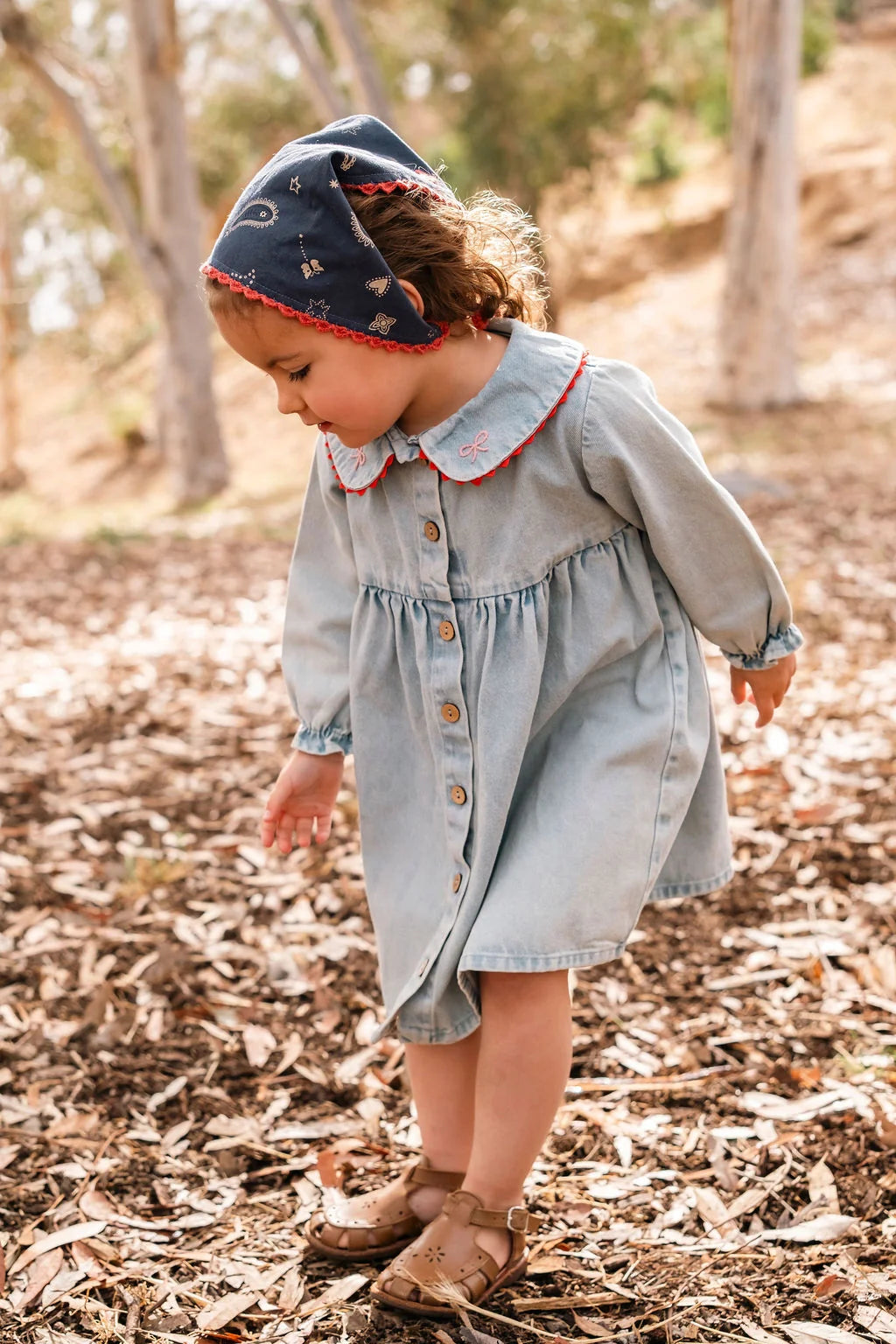 Clementine Dress in Denim Darling