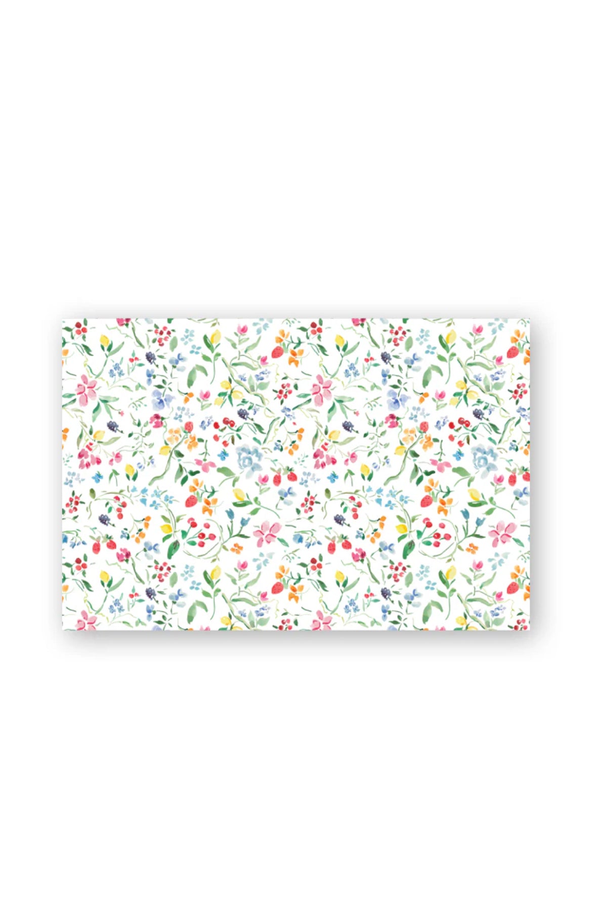 JARDIN COLORÉ PLACEMATS