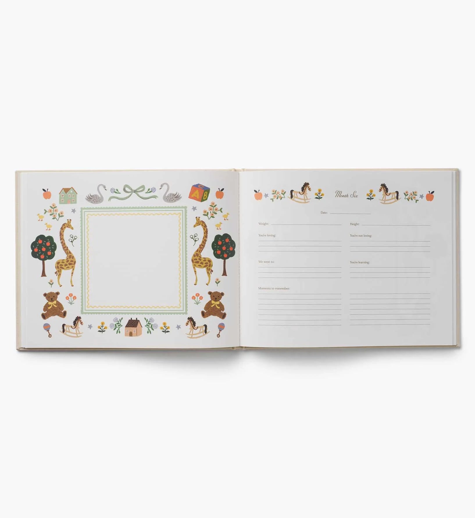 Embroidered Baby Book