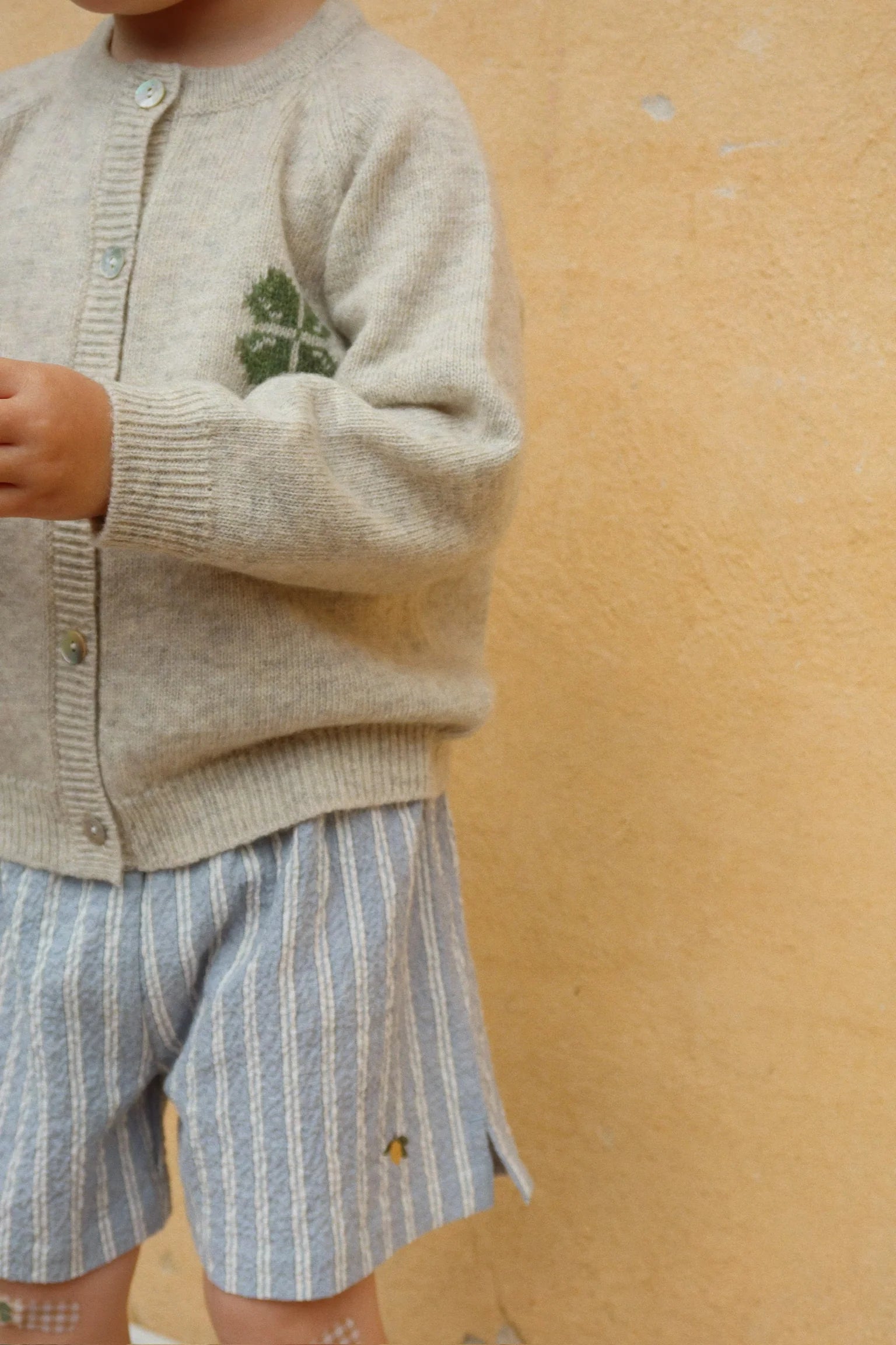 Elliot shorts trio bleu stripe