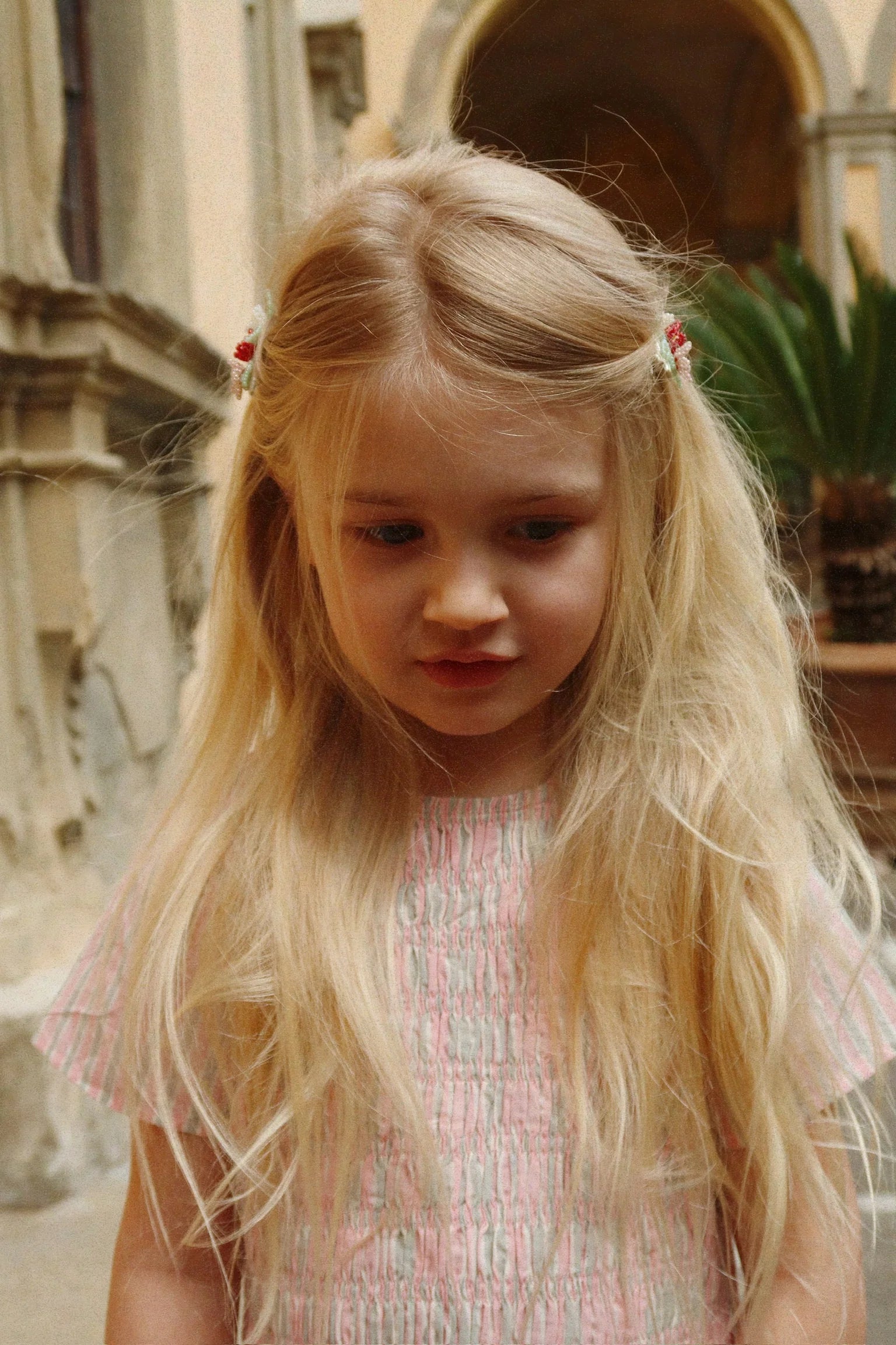 2 pack flower field hair clips