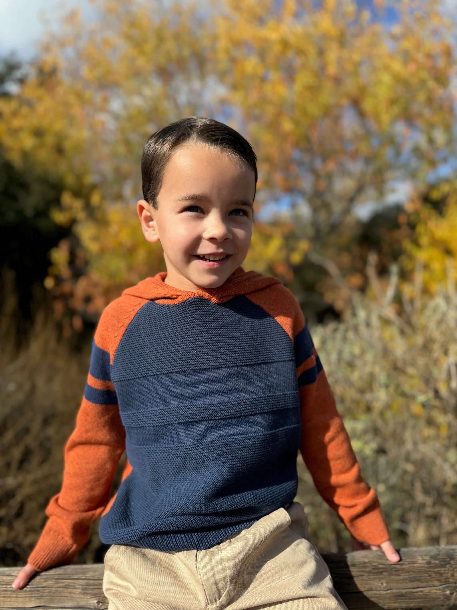 PEDRO ORANGE/NAVY STRIPED HOODED SWEATER