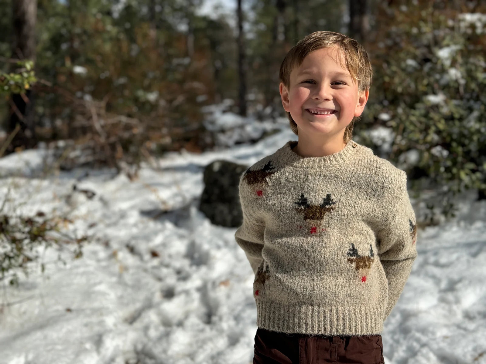 RUDY BEIGE REINDEER SWEATER