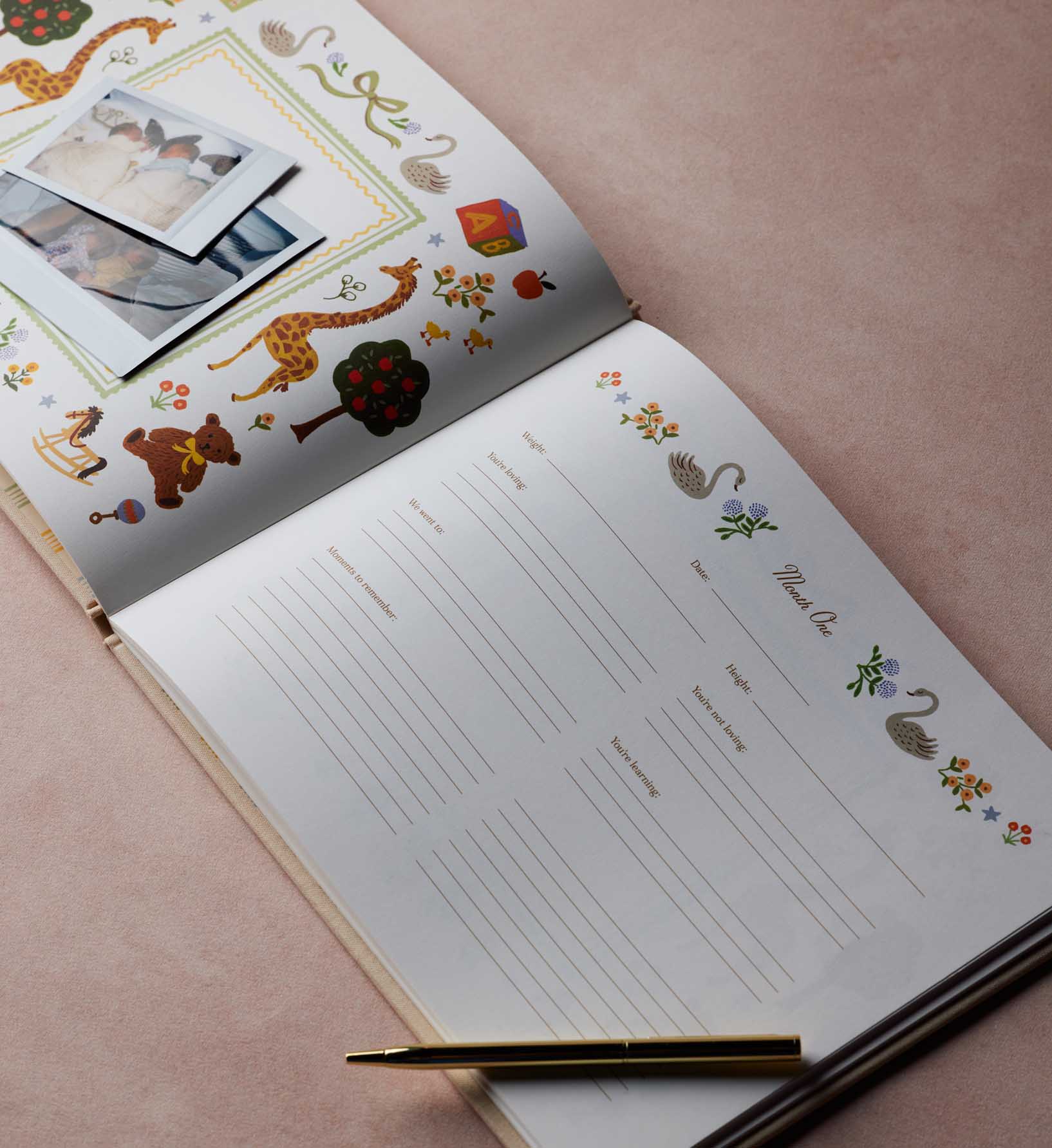 Embroidered Baby Book