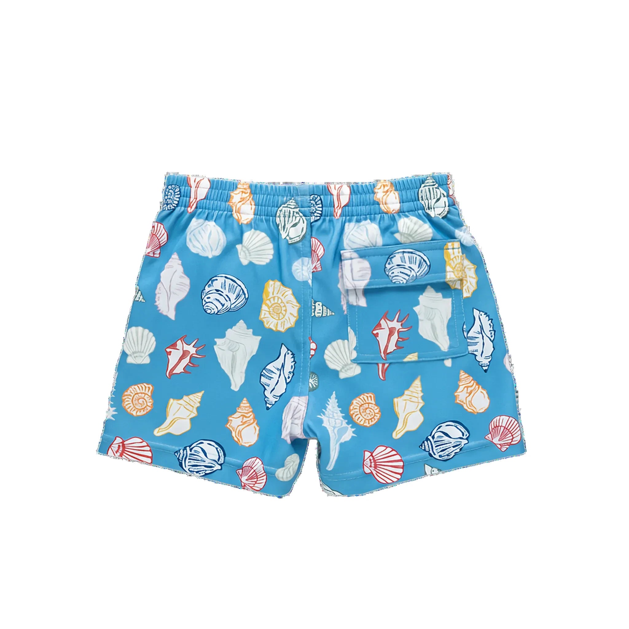 Boys Swim Trunk in Blue Seashells