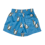 Swim Trunk - Blue Boston Terrier