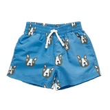 New! Boys Swim Trunk - Blue Boston Terrier